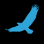 Fly100 logo